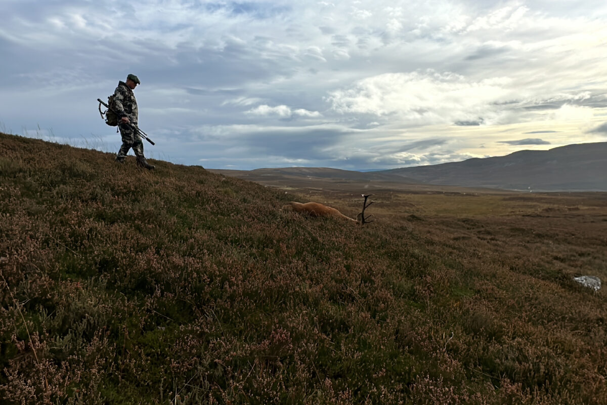 Precision Long Range Hunting Course - Image 4